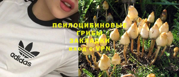 прущая мука Алзамай